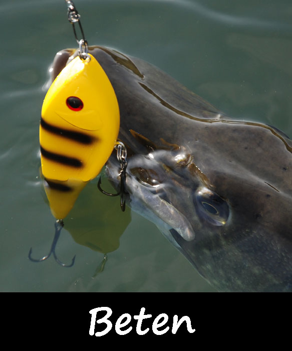Beten
