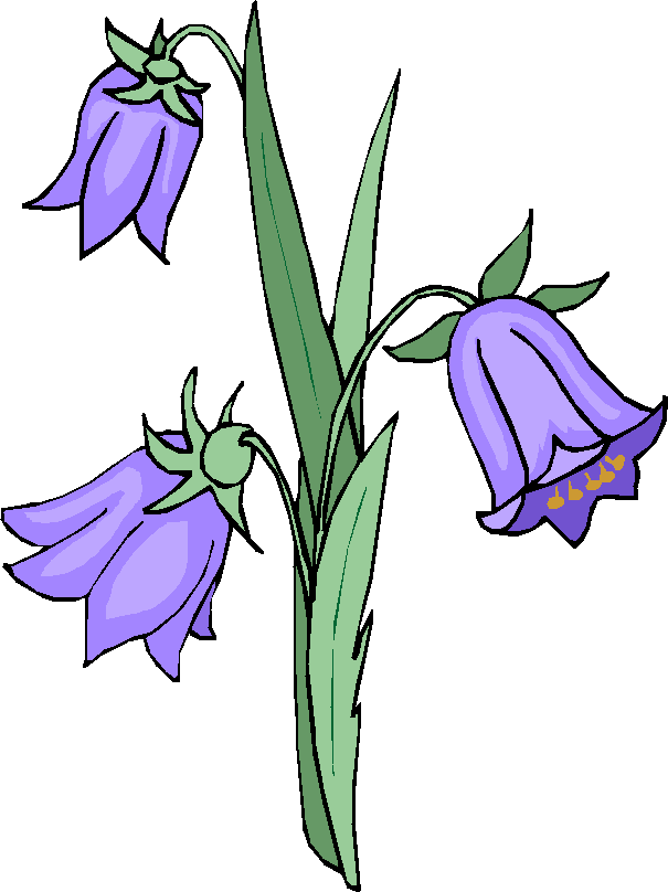 VÅREN