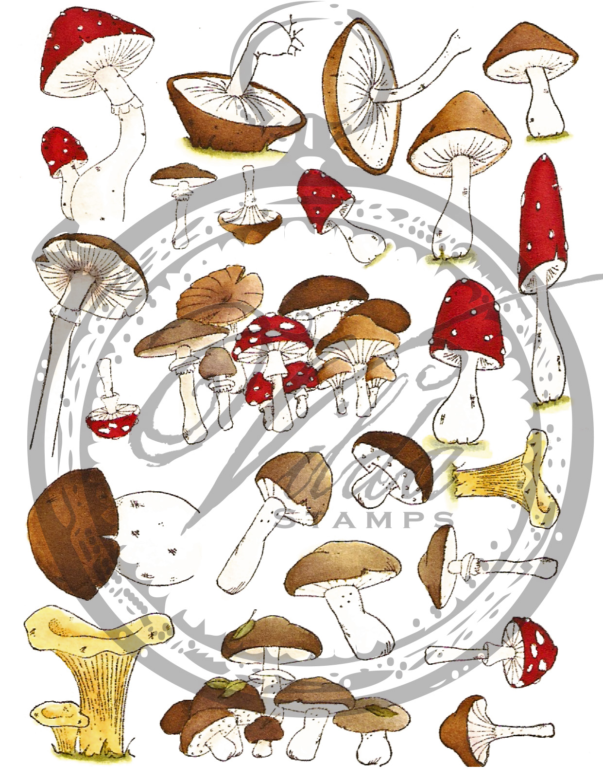 http://shop.textalk.se/en/article.php?id=16232&art=24774050