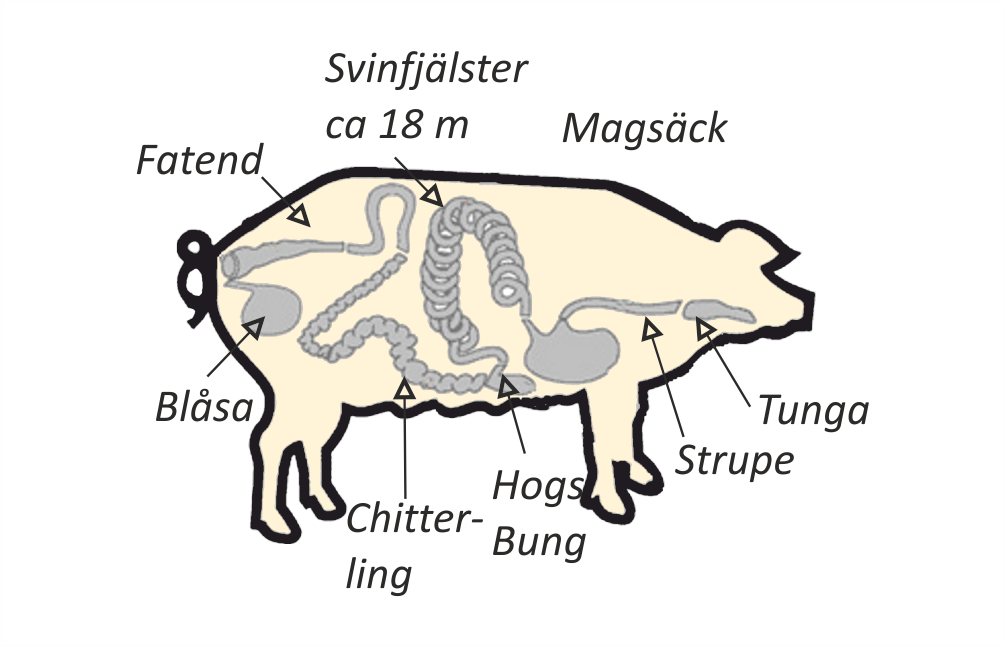Svinfjälster