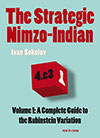 The Strategic Nimzo Indian Vol.1: A Complete Guide to the Rubinstein Variation