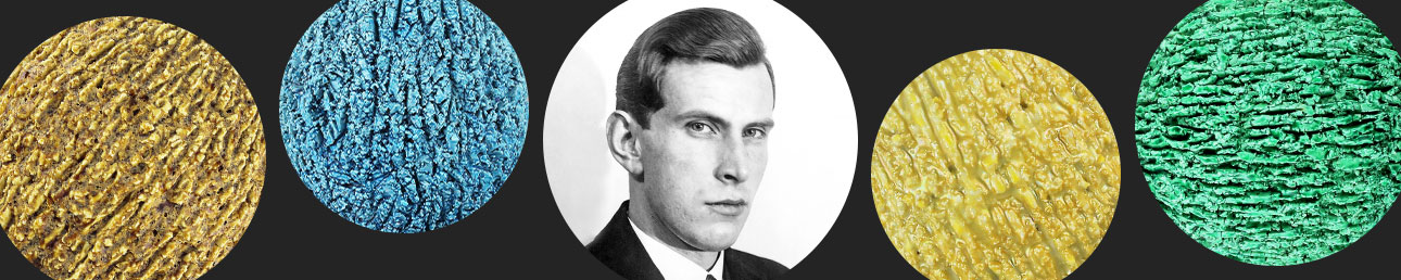 Gunnar Nylund igelkottsvas