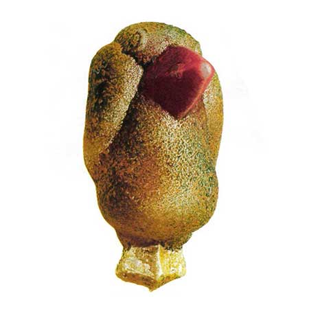 Kjell Engman Kosta Boda Birds of Paradise Yellow bird (model 90266)