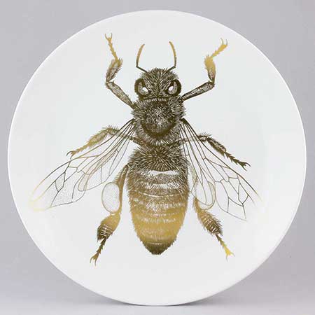 1984 Paul Hoff Arter i fara Nordiskt bi (Apis mellifera mellifera)