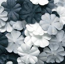 Blommor/Blad