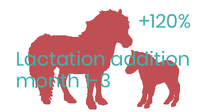 Energy addition lactating small pony mare months 1-3 - foderonline