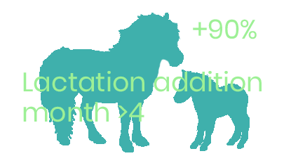 Energy addition lactating small pony mare months >4 - foderonline