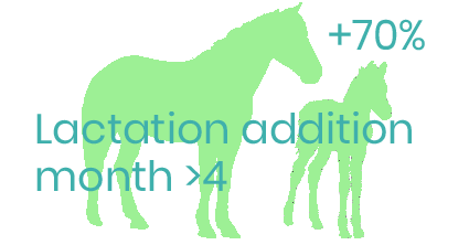 Energy addition lactating mare months >4 - foderonline