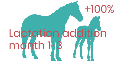 Energy addition lactating mare months 1-3 - foderonline