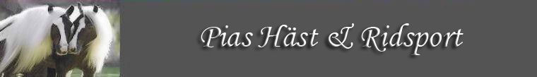 Pias Häst & Ridsport
