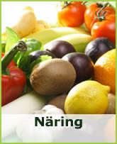 n&auml;ring