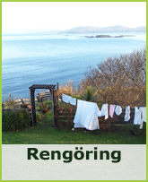 reng&ouml;ring