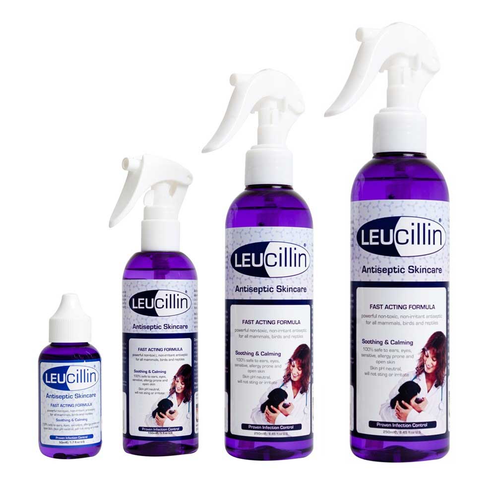 leucillin for dogs