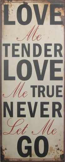 Emaljskylt / Love