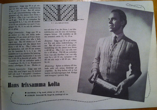 Femina stickbok