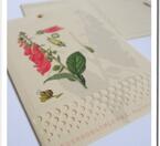 Flower seed gift card - Foxglove