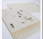 Flower seed gift card - Harebell
