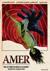 Amer (DVD)