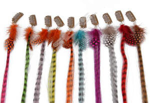 Feather & hår Extension.Clip on.