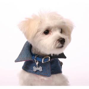 Sött "ben"smycke till din hund.