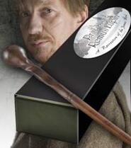 Professor Lupin's wand
