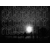 The Bear Quartet - Eternity Now
