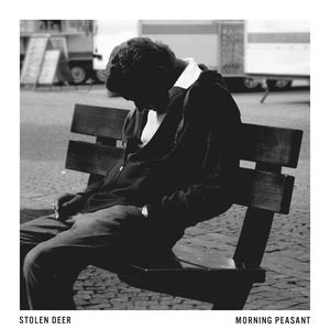 Stolen Deer - Morning Peasant