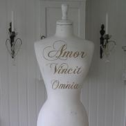 Provdocka Amor Vincit Omnia guldtext