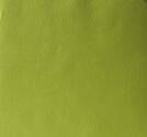 Bazzill - Embossad cardstock - Peek-a-Boo Leaves Parak