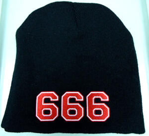 666 - Emrodied Beanie