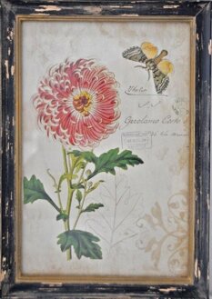 Tavla / Vintage  Botanical