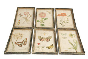 Tavla /  Vintage Botanical