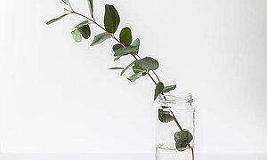 Type text here! Type text here