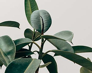 Type text here! Type text here