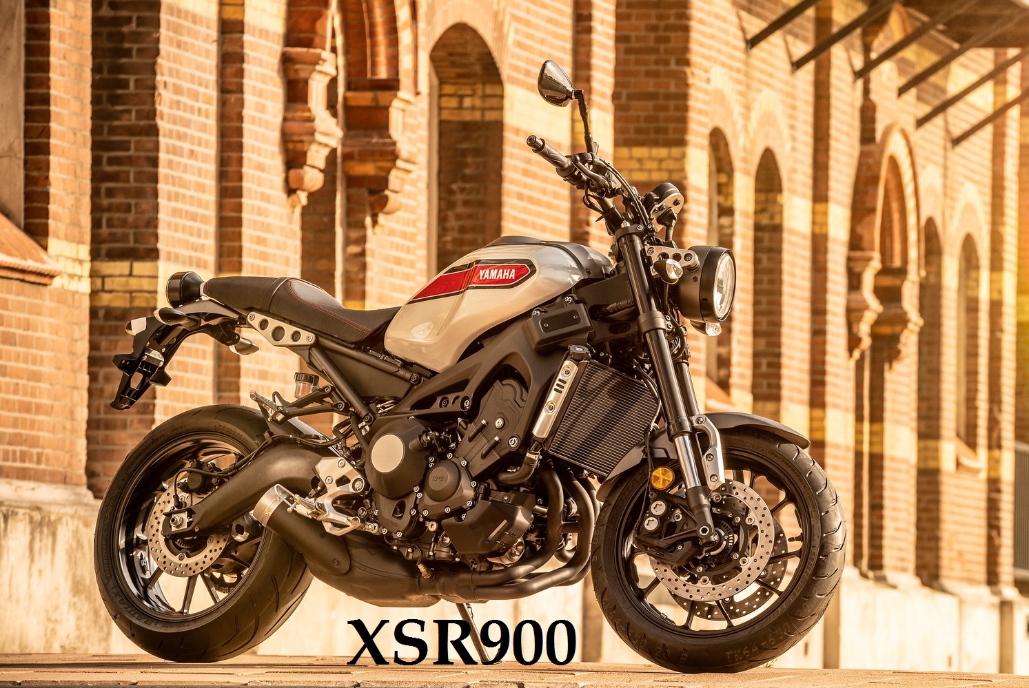 YC365 Yamaha Center Helsingborg XSR900 YC365 Yamaha Center Helsingborg XSR900