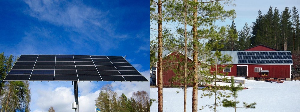 Solpark hos AlterHedens Rabarberi