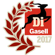Gasellföretag 2017