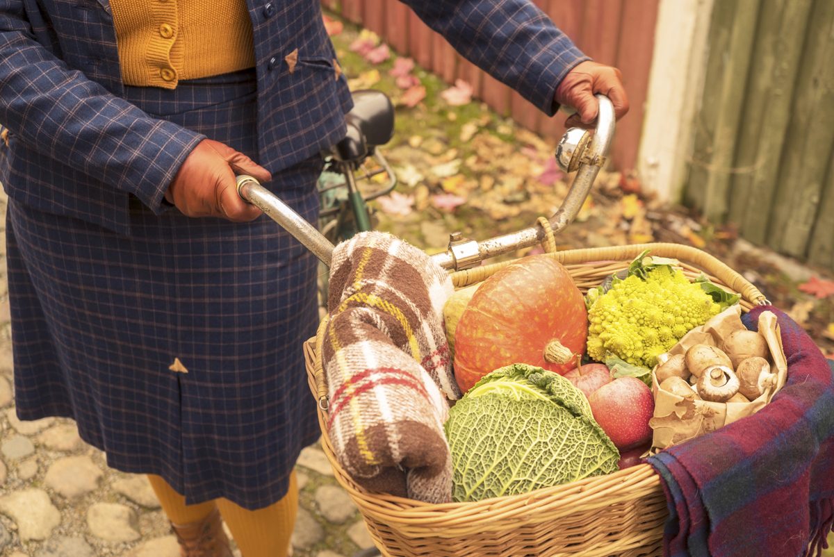 10. emmy design_AW18_vintage autumn bike in tweed wool skirt plaid plus size 1940s blazer british classic arrowhead tacks