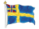Flagg historik