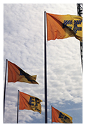 EF Flaggor