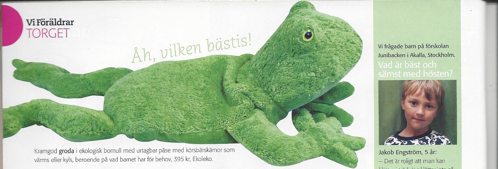 Vi föräldrar 2009 Nr 13 November