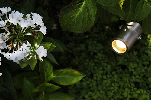 Spotlights  för alla dina träd och buskar