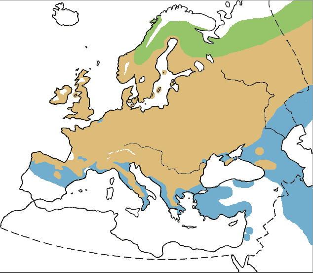Distribuzione all_year