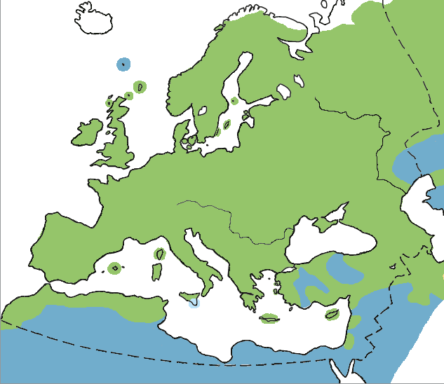 Distribuzione all_year