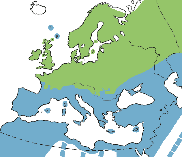 Distribuzione all_year