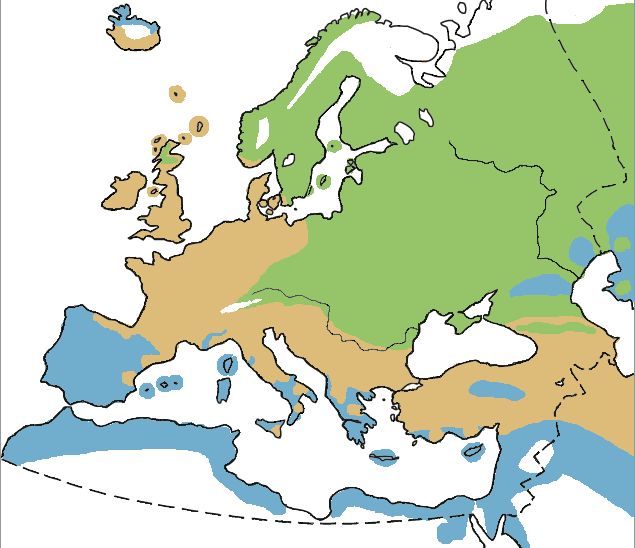 Distribuzione all_year