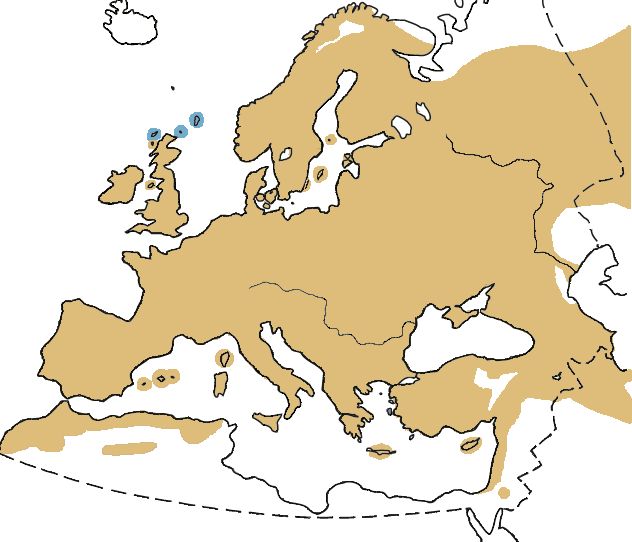 Distribuzione all_year