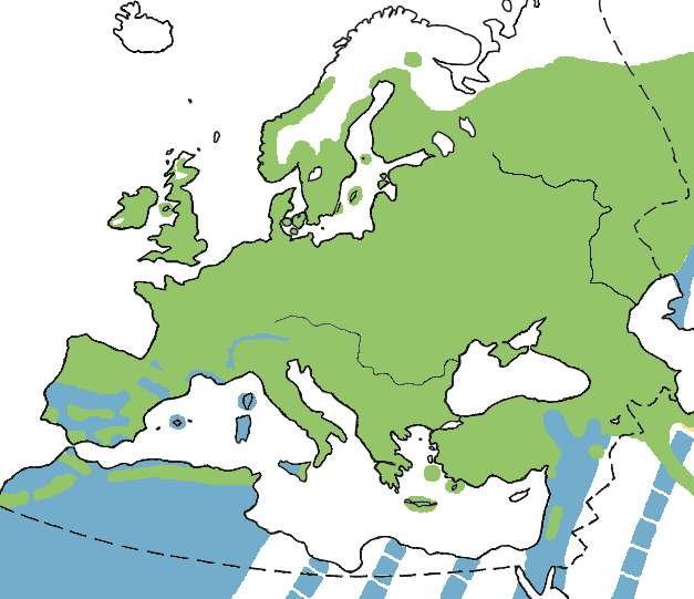 Distribuzione all_year