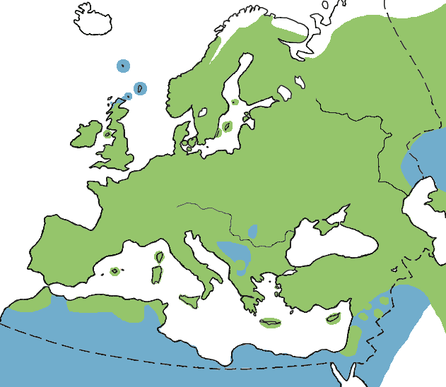 Distribuzione all_year