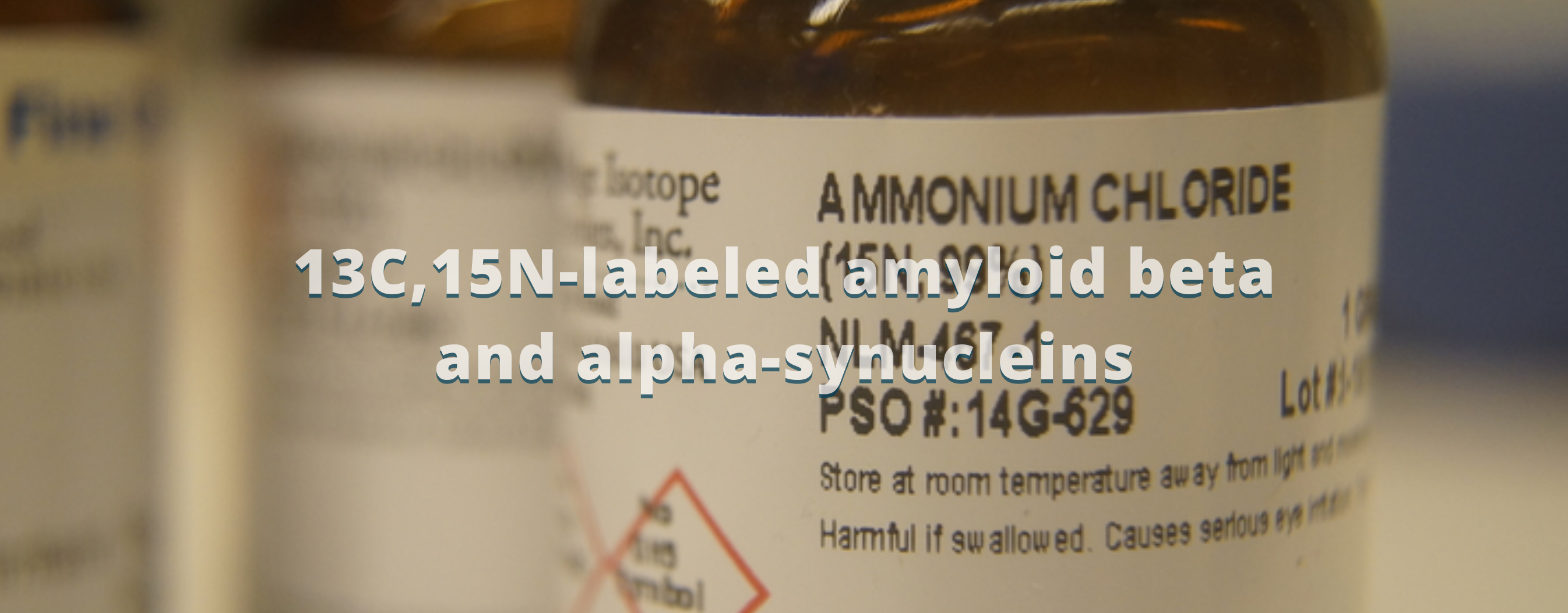 Amyloid Beta peptides recombinant Synuclein Transthyretin